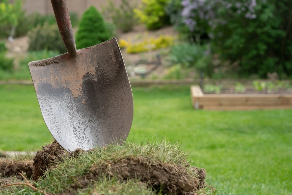 soil sawing